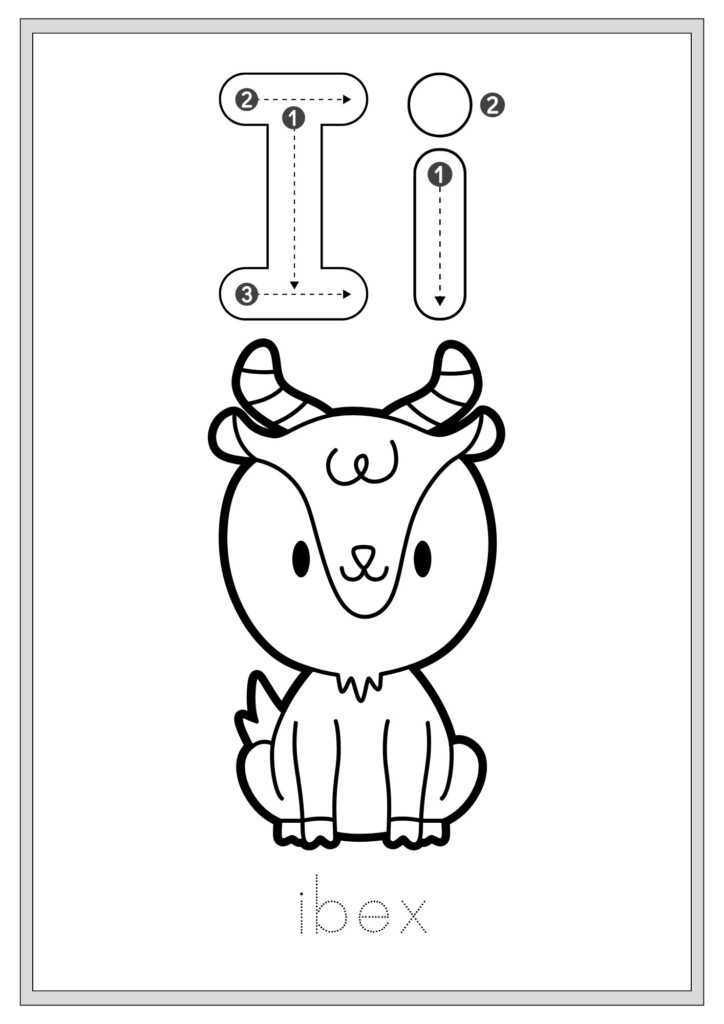 Animal Alphabet Tracing and Coloring Book
