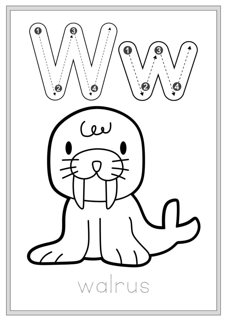 Animal Alphabet Tracing and Coloring Book